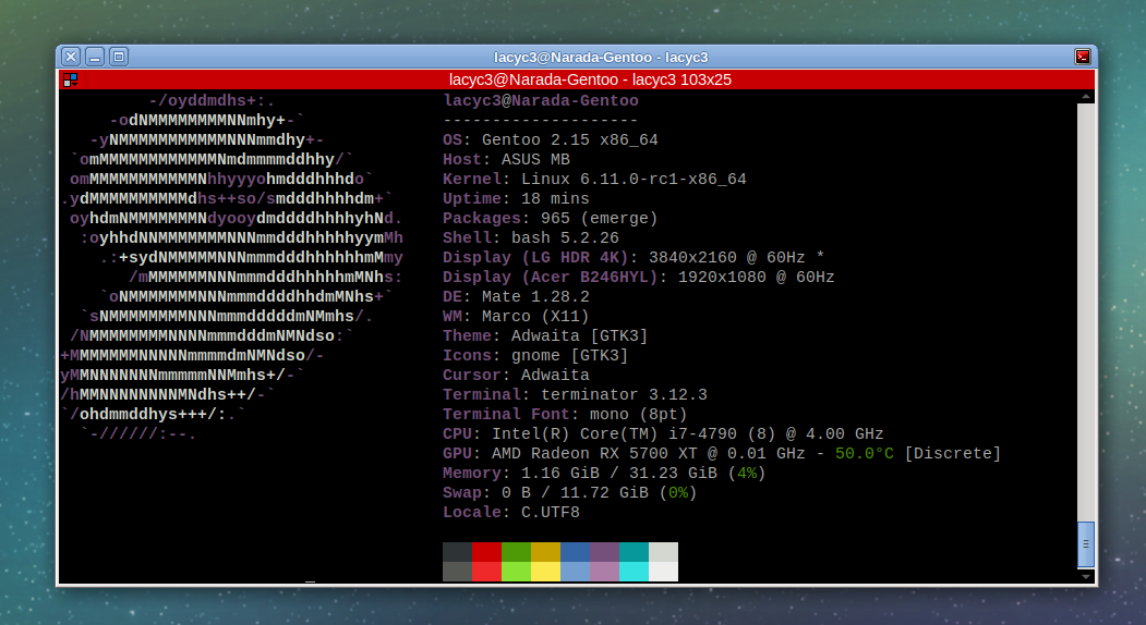 Gentoo + Linux 6.11-rc1