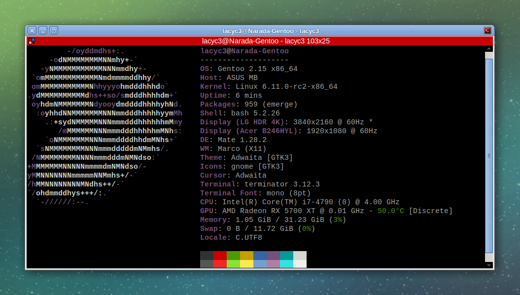 Gentoo + Linux 6.11-rc2