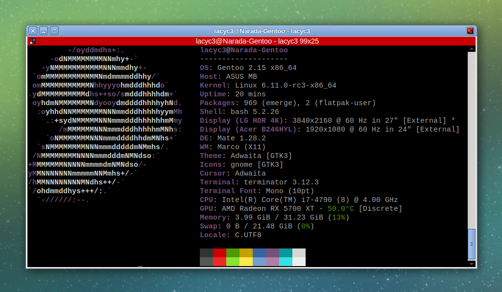 Gentoo + Linux 6.11-rc3