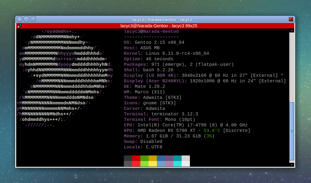 Gentoo + Linux 6.11-rc4