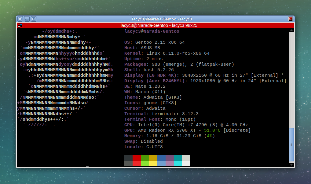 Gentoo + Linux 6.11-rc5