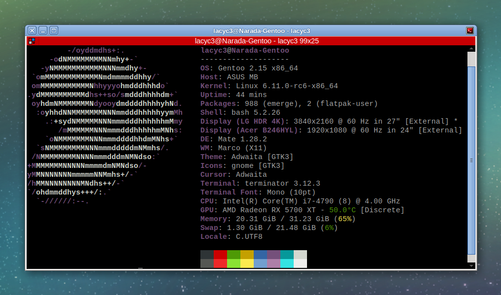 Gentoo + Linux 6.11-rc6