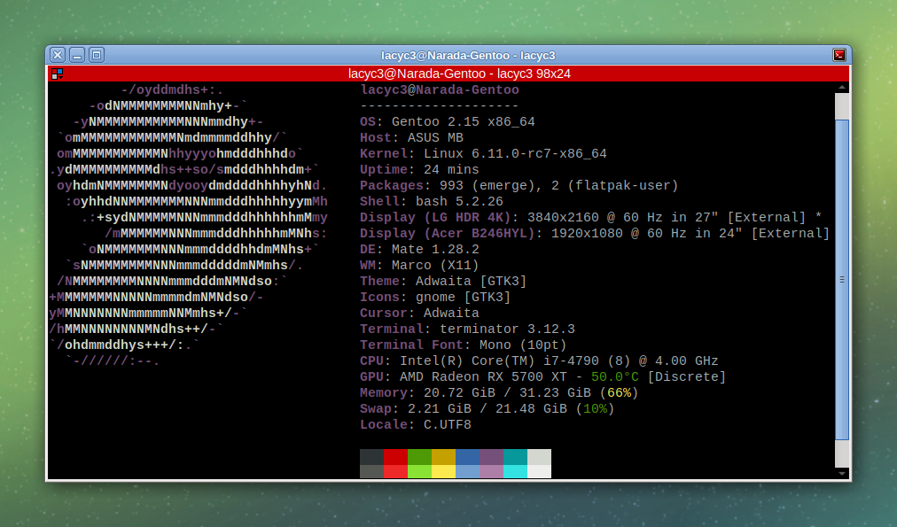 Gentoo + Linux 6.11-rc7