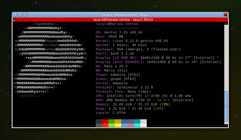 Gentoo + Linux 6.11