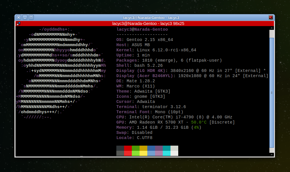 Gentoo + Linux 6.12-rc1