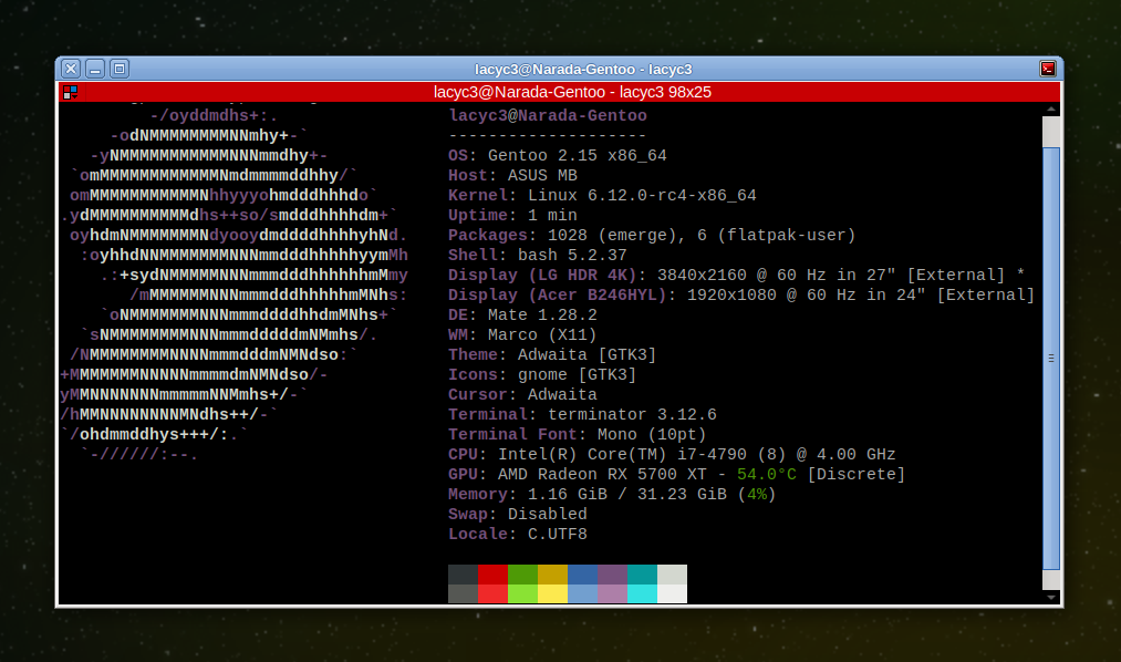 Gentoo + Linux 6.12-rc4